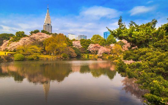 Taman Kebangsaan Shinjuku Gyoen
